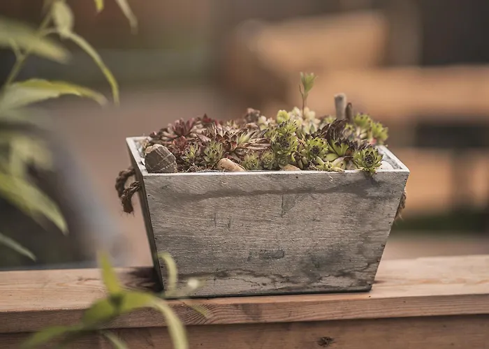 Haus Fuer 22 Personen Mit Aussensauna Und Hottub By Interhome Dahlem (Euskirchen)