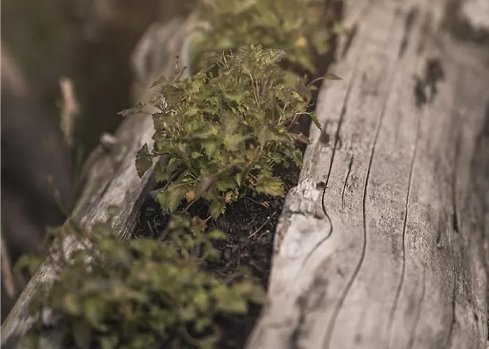 Haus Fuer 22 Personen Mit Aussensauna Und Hottub By Interhome Feriehus *